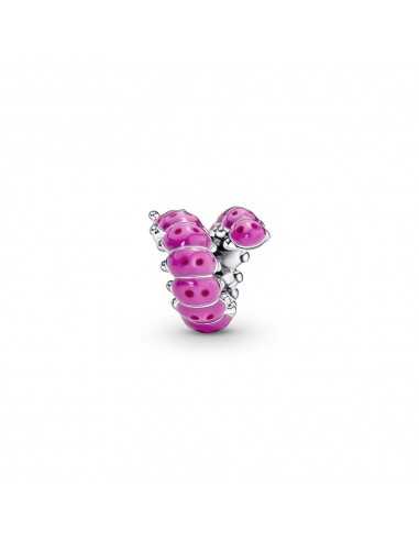 Charm Oruga Rizada 790762C01