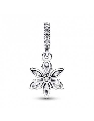 Charm Pandora Colgante Herbario...