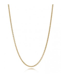 Cadena Pandora Shine 367080-60