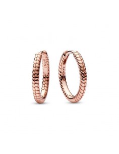 Pendientes Pandora Moments...