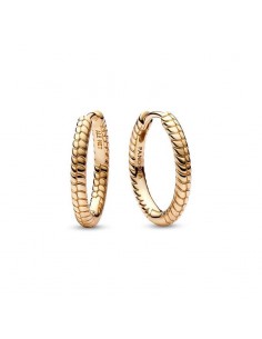 Pendientes Pandora Moments...