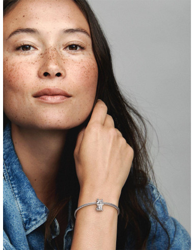 Char Pandora Perro Akita Inu Japonés...