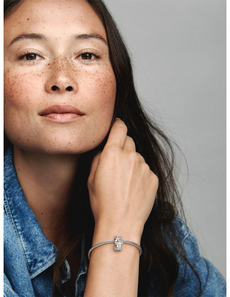 Char Pandora Perro Akita Inu Japonés 799030C01