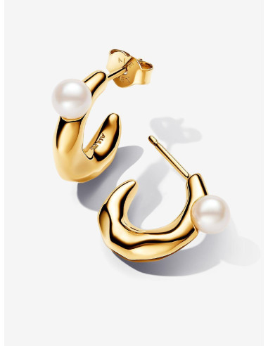 Pendientes Pandora Aro de Forma...