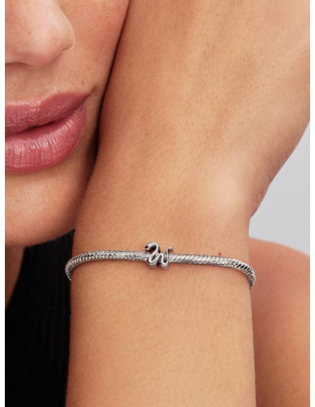 Charm Mini Serpiente de Pandora