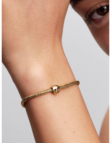 Charm Mini Calavera de Pandora