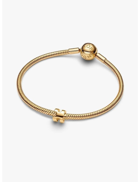 Charm Mini Pieza de Puzle de Pandora