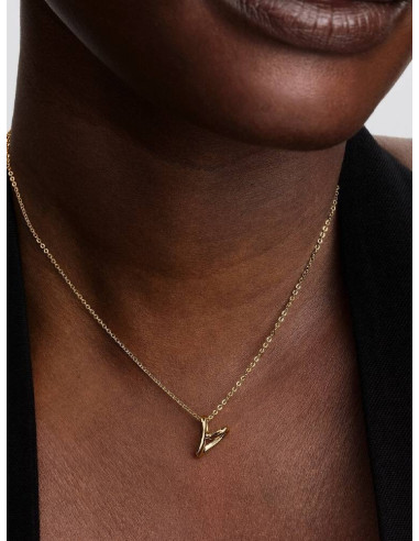 Collar Corazón Pequeño Forma Orgánica...