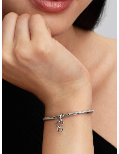 Charm Colgante Corazones Conectados y...